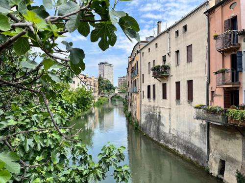Foto Appartamento ai Portici di Via Savonarola 6
