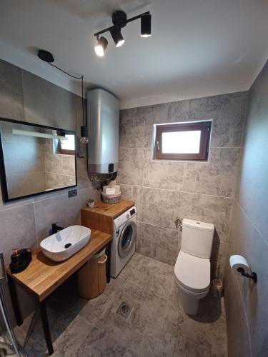 a bathroom with a toilet sink and a washing machine at Mountain Dream in Korenica