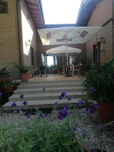 - un ensemble d'escaliers dans un bâtiment avec des fleurs violettes dans l'établissement LA CASA NELLA PRATERIA, à Misano Adriatico