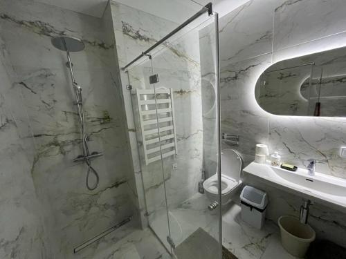 La salle de bains est pourvue d'une douche, de toilettes et d'un lavabo. dans l'établissement Birstonas Holidays Apartment, à Birštonas
