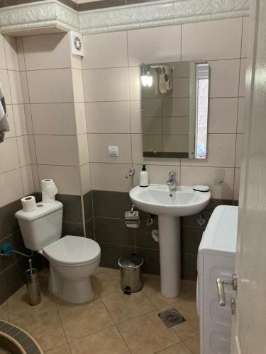 a bathroom with a toilet and a sink at Vila Vito in Dobra Voda