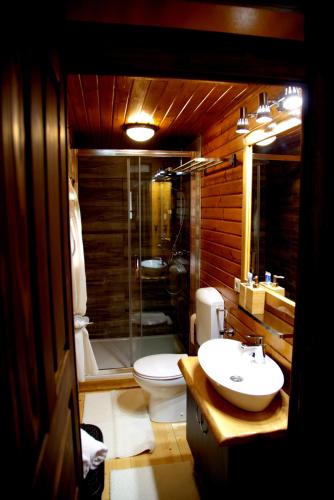a bathroom with a toilet and a sink and a shower at Brezova Poljana Lodge in Vrbovsko