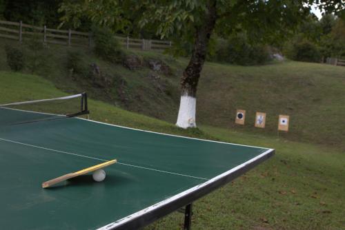 a green ping pong table with two wooden sticks on it at Brezova Poljana Lodge in Vrbovsko
