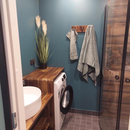 a bathroom with a sink and a washing machine at TT majutus in Tapa