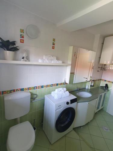 een badkamer met een wasmachine en een wastafel bij Apartment Sonata in Kamnik