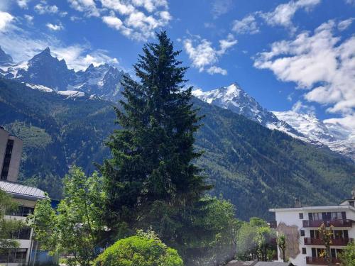 Chamonix: Charmant 2 pièces avec parking proche centre - FR-1-517-66 photo 10