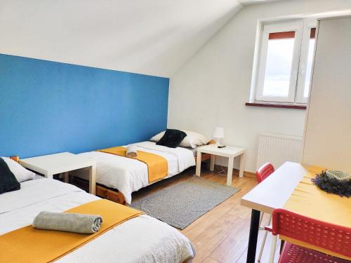 a room with three beds and a blue wall at Agroturystyka Jodłowa in Krajno-Zagórze
