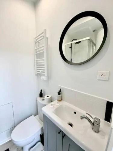 bagno con servizi igienici, lavandino e specchio di Studio cosy, calme avec cour extérieure, 1er étage a Saran
