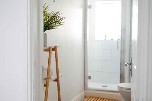 a bathroom with a toilet and a plant on a ladder at Brighton City Centre Apartment with Two Parking Spaces in Brighton & Hove