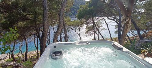 Apartment by the sea Žirje with private heated hydromassage pool