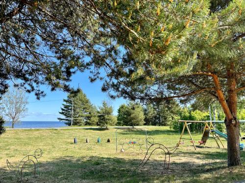 un parc avec une aire de jeux avec un arbre et une balançoire dans l'établissement Lake hostel, à Mustvee