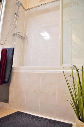 a bathroom with a shower and a plant at Apartment d´Auszeit in Bad Goisern
