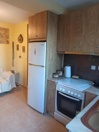 een keuken met een witte koelkast en een fornuis bij Blondie's House in Evropoúloi