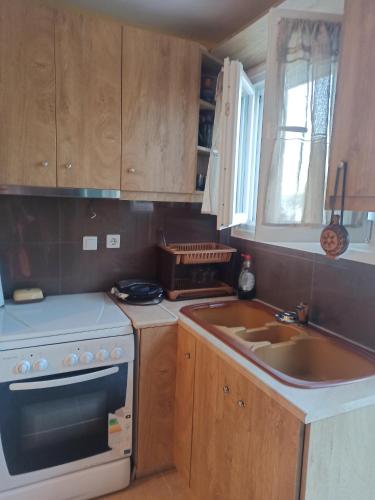 een keuken met houten kasten, een fornuis en een wastafel bij Blondie's House in Evropoúloi