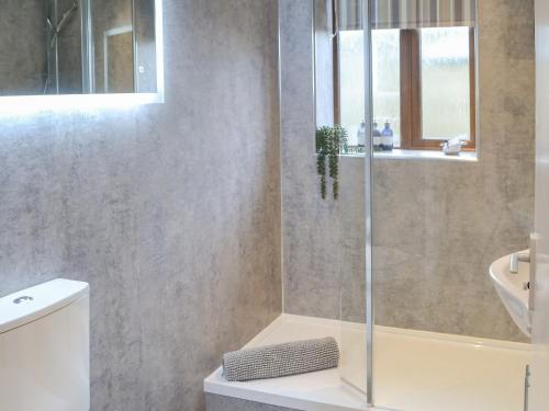a bathroom with a shower with a toilet and a sink at The Alnwick Townhouse in Alnwick