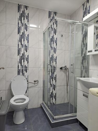 uma casa de banho com um chuveiro, um WC e um lavatório. em VIKENDICA GARAŠKI KUTAK em Arandjelovac