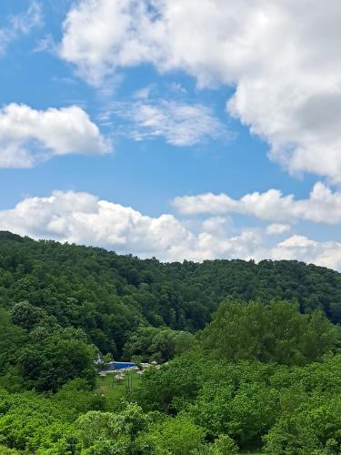 別荘の近くで見られる自然の景観