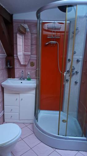 a bathroom with a shower and a toilet and a sink at Pensjonat Stary Mlyn Tuczno in Tuczno