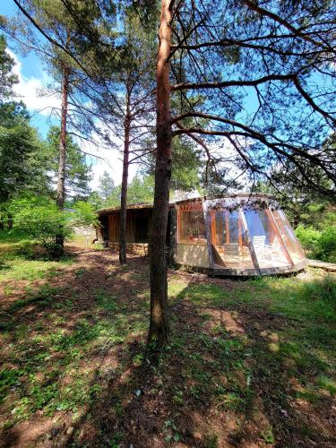 Maison Ronde Atypique