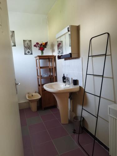 une salle de bain avec un lavabo et des toilettes dans l'établissement AU PIED DU MOULIN, à Saint-Hilaire-de-Voust