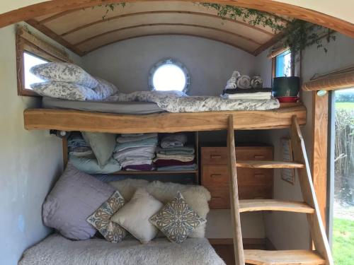 Litera o literas en una habitación de Secluded Shepherds Hut, with a view and hot tub