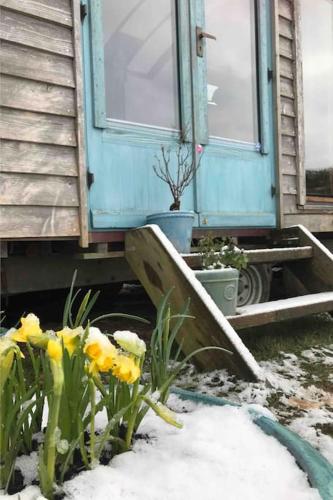 Galería fotográfica de Secluded Shepherds Hut, with a view and hot tub en Ashburton