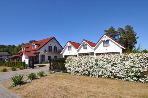 Babilon Pokoje i Studia