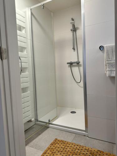 een douche met een glazen deur in de badkamer bij Canal View One Bedroom Flat in Brussel