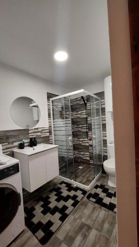 a bathroom with a shower and a sink and a toilet at Casa nouă in Sasca Montană