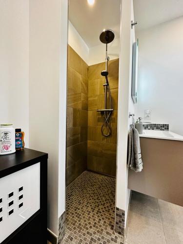 une salle de bain avec douche et lavabo dans l'établissement La Villa Vaihéré en Camargue, l'Hibiscus et le Magnolia, à Saintes-Maries-de-la-Mer