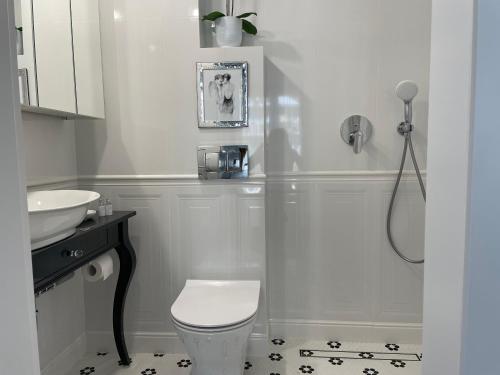 a bathroom with a shower and a toilet and a sink at Lux New Port in Gdańsk