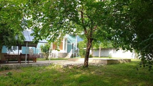 gebele green garden – Photos 2