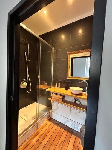 une salle de bain avec douche et lavabo dans l'établissement Appartement COSY centre Ajaccio, à Ajaccio