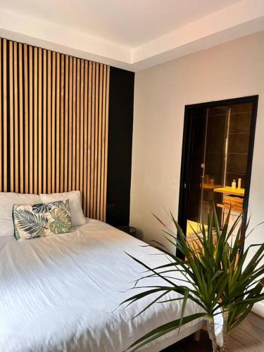- une chambre avec un lit et une plante à côté dans l'établissement Appartement COSY centre Ajaccio, à Ajaccio