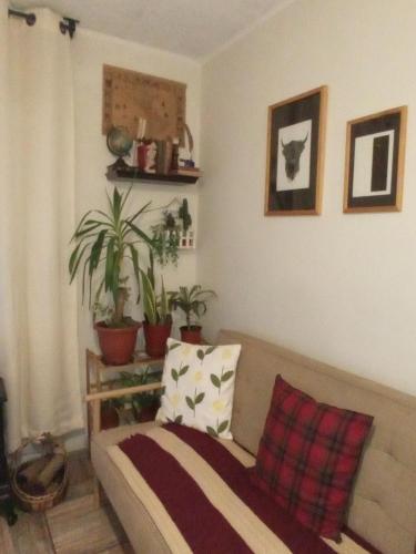 a living room with a couch and potted plants at Dulce hogar in Santiago