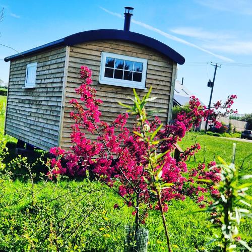 a small house with pink flowers in front of it at Cranfield Retreat & Glamping in Long Melford