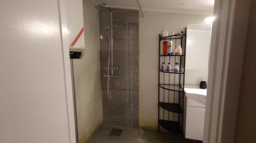 een douche in een badkamer met een glazen douchecabine bij The Lake in Alingsås