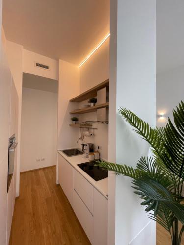 a kitchen with white cabinets and a plant at A un passo dalla piazza in Ascoli Piceno