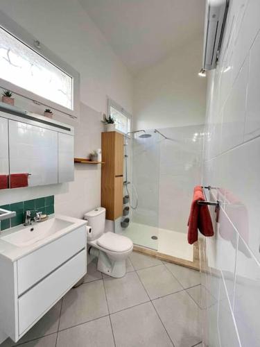une salle de bain avec toilettes, lavabo et douche dans l'établissement Petite maison 300m des remparts, Wifi, à Avignon