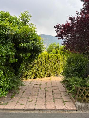 a garden with a brick walkway with bushes at Romantische Oase mit Kamin in Unterseen