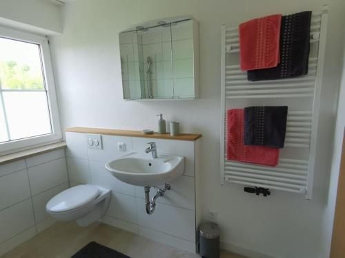 a bathroom with a sink and a toilet and a mirror at Direkt am Naherholungsgebiet in Marktoberdorf