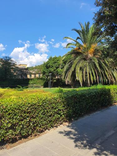 a palm tree in a park with a sidewalk at Attico con Vista su Genova in Genova