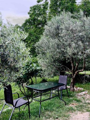 a table and two chairs sitting next to a tree at Apartments Stella in Virpazar