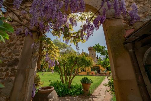 Foto Charming cottage only for you, a hidden gem 10mn walk to historic center, stunning view 1