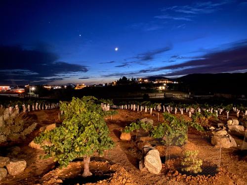 a vineyard at night with the moon in the sky at Cuatro Lunas Hotel Boutique in Valle de Guadalupe