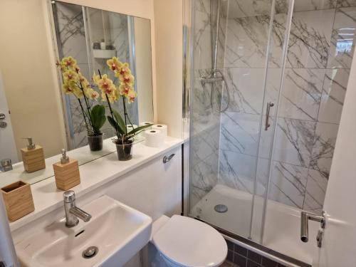 a bathroom with a sink and a shower and a toilet at Clearwater Apartment in Dublin