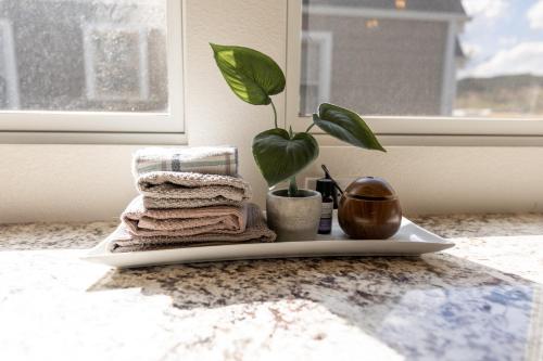 a plate with towels and a potted plant on a counter at Luxurious Historic Renovated Bungalow DT Rapid City with Private Patio in Rapid City
