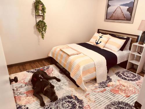 a dog laying on the floor in a bedroom at Jet Skis, Lake View, Sleeps 8, HotTub, Firepit, Pet Friendly! in Canyon Lake