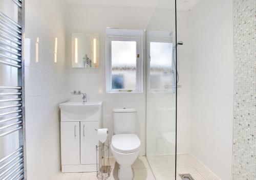 サンダースフットにあるStammers Retreatの白いバスルーム(トイレ、ガラス張りのシャワー付)