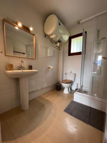 a bathroom with a sink and a shower and a toilet at Auberge de Sauze in Sauze